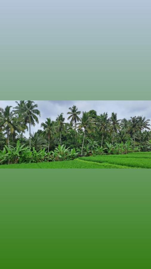 Galang Hari Villa Ubud Eksteriør bilde