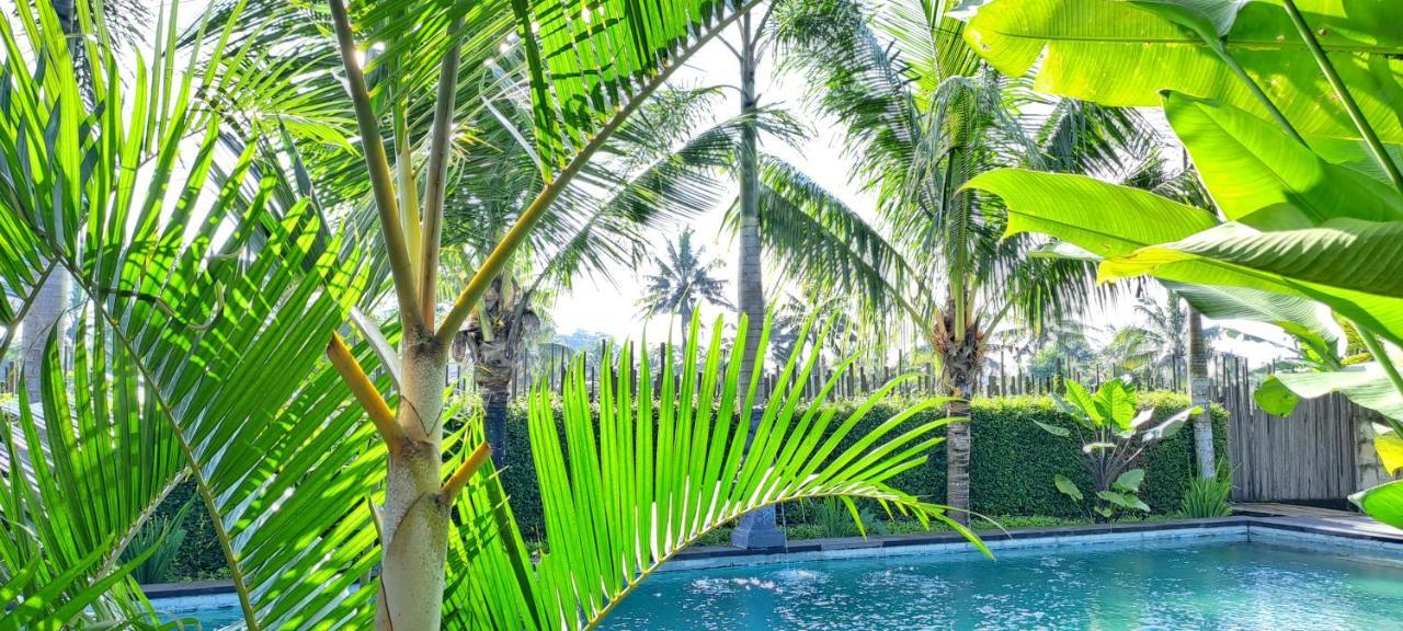 Galang Hari Villa Ubud Eksteriør bilde