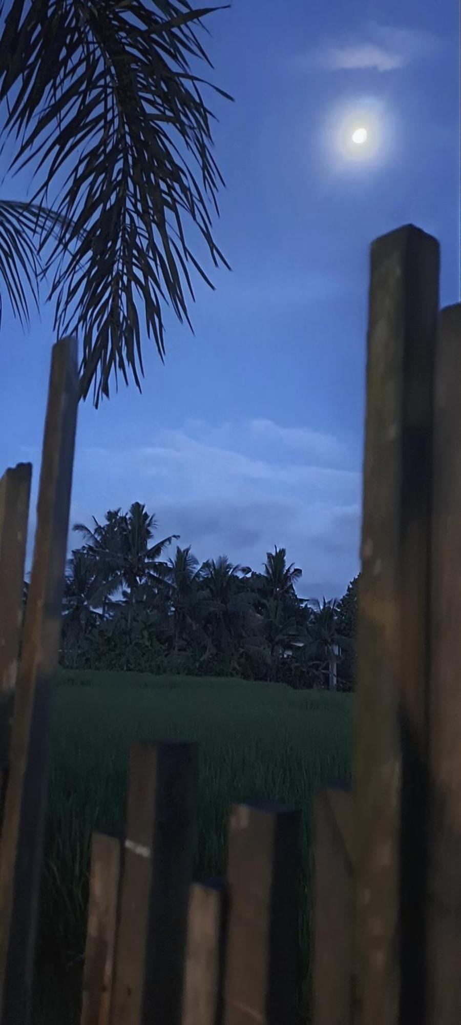 Galang Hari Villa Ubud Eksteriør bilde