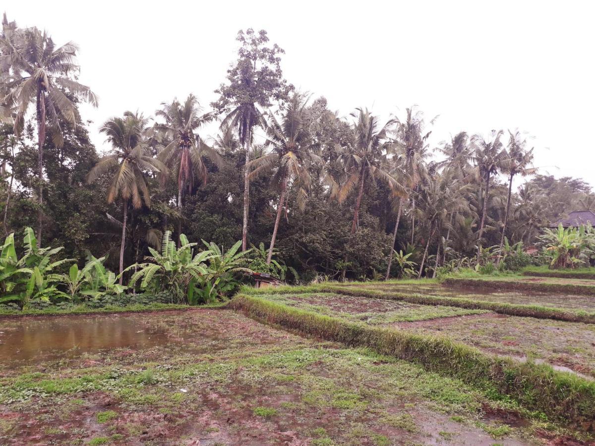 Galang Hari Villa Ubud Eksteriør bilde